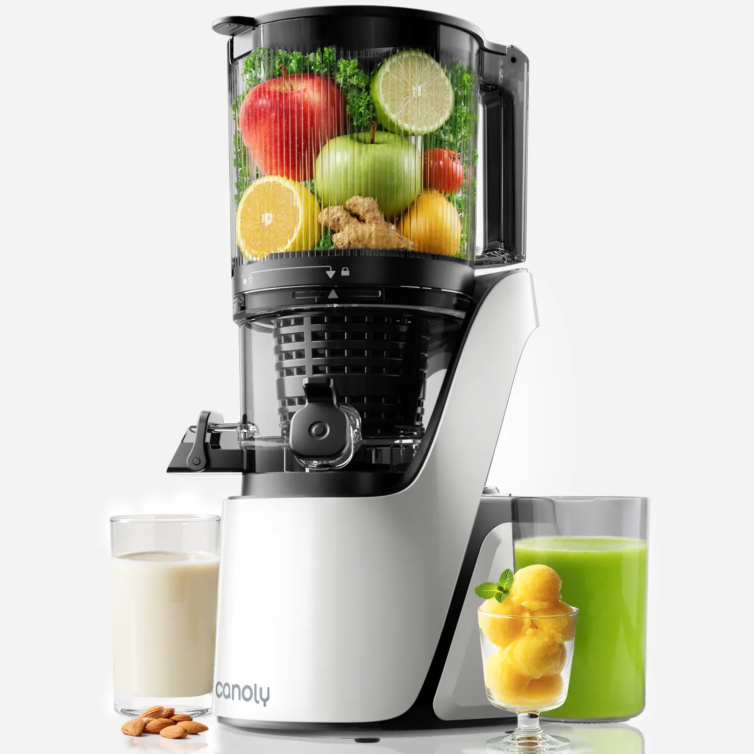 C16 Cold Press Juicer - Canoly