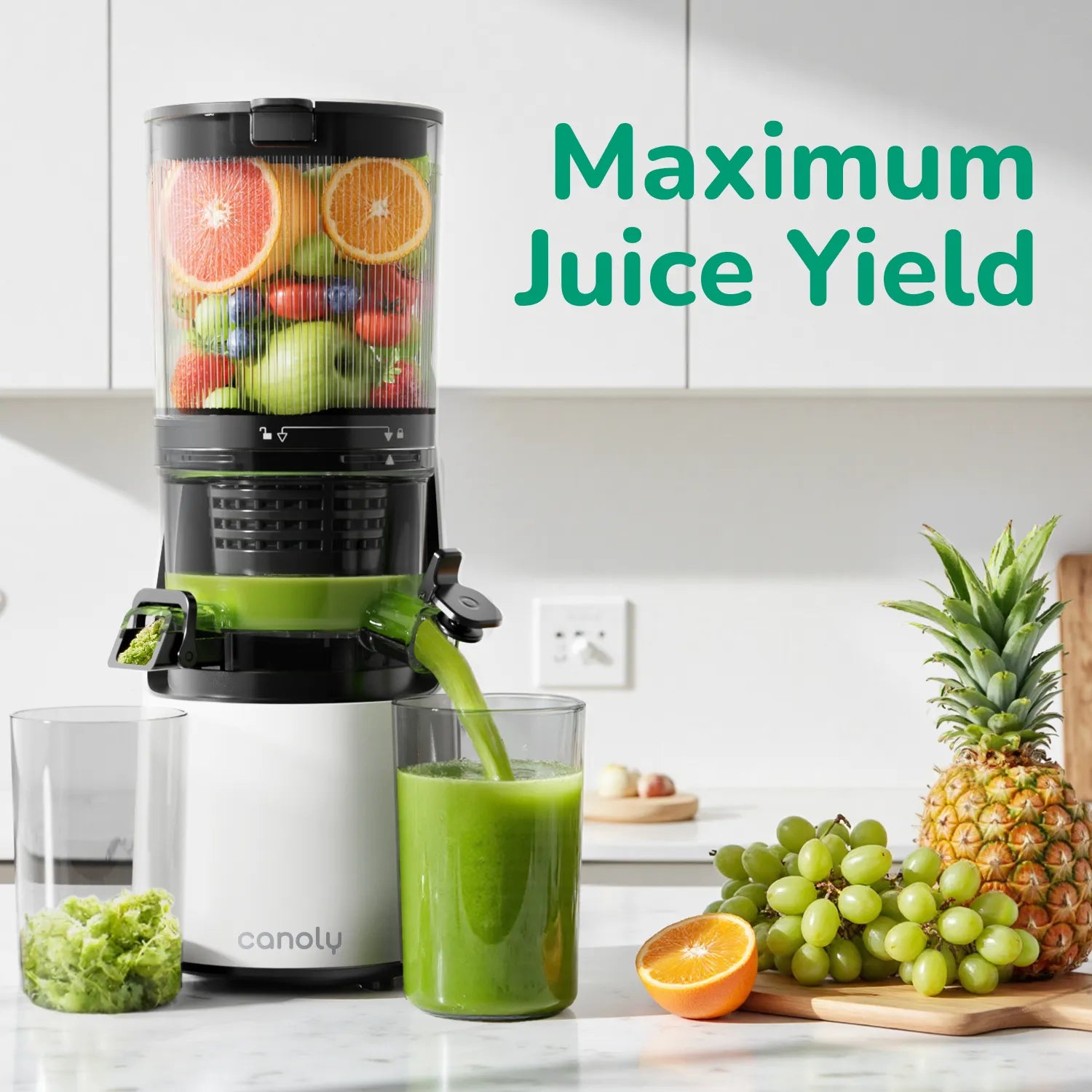 C16 Cold Press Juicer