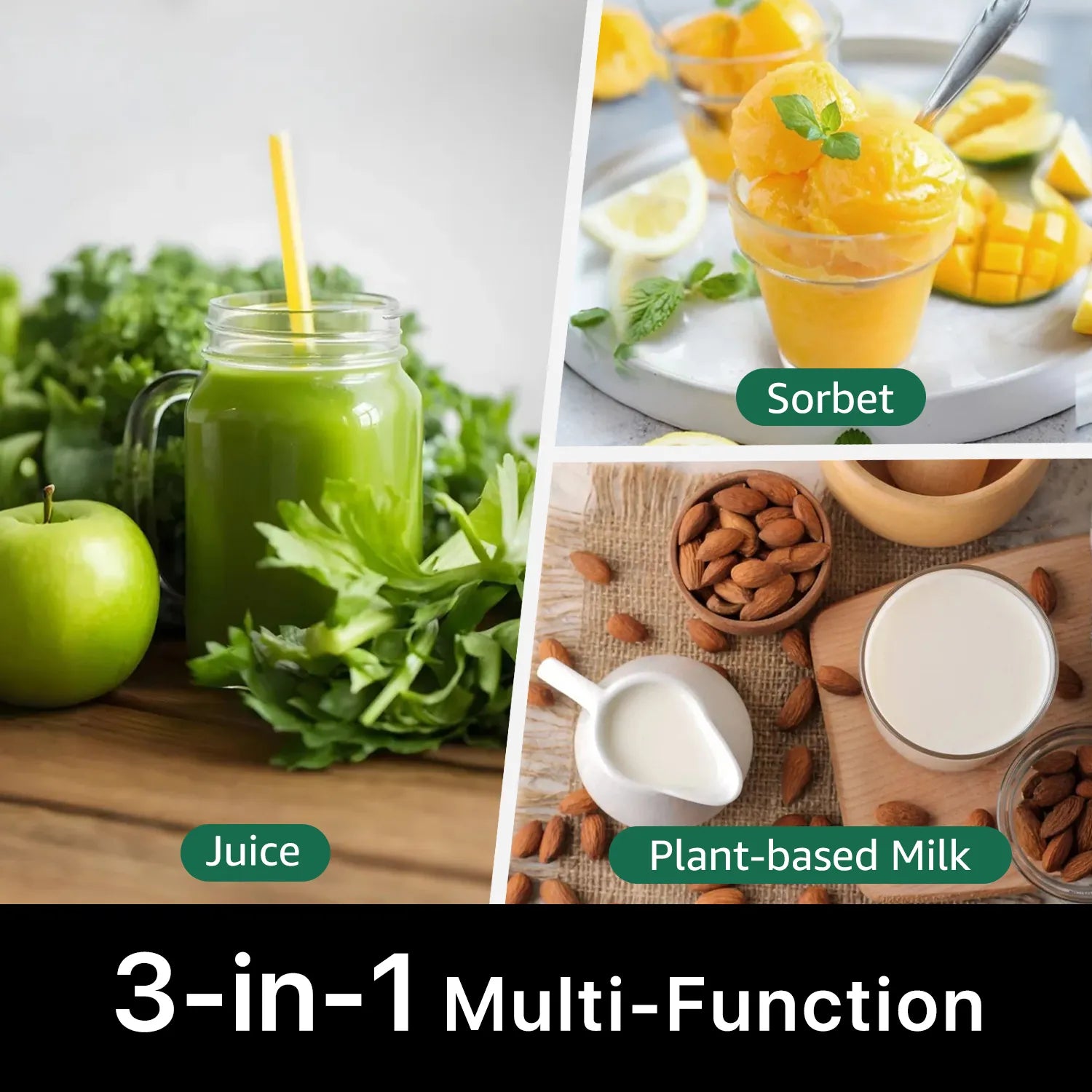 Canoly C16 3 in 1 juicer for sorbet, plant milk and juice