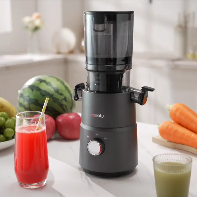 Canoly C03 slow juicer to buy, cheap juicers, juicer sale