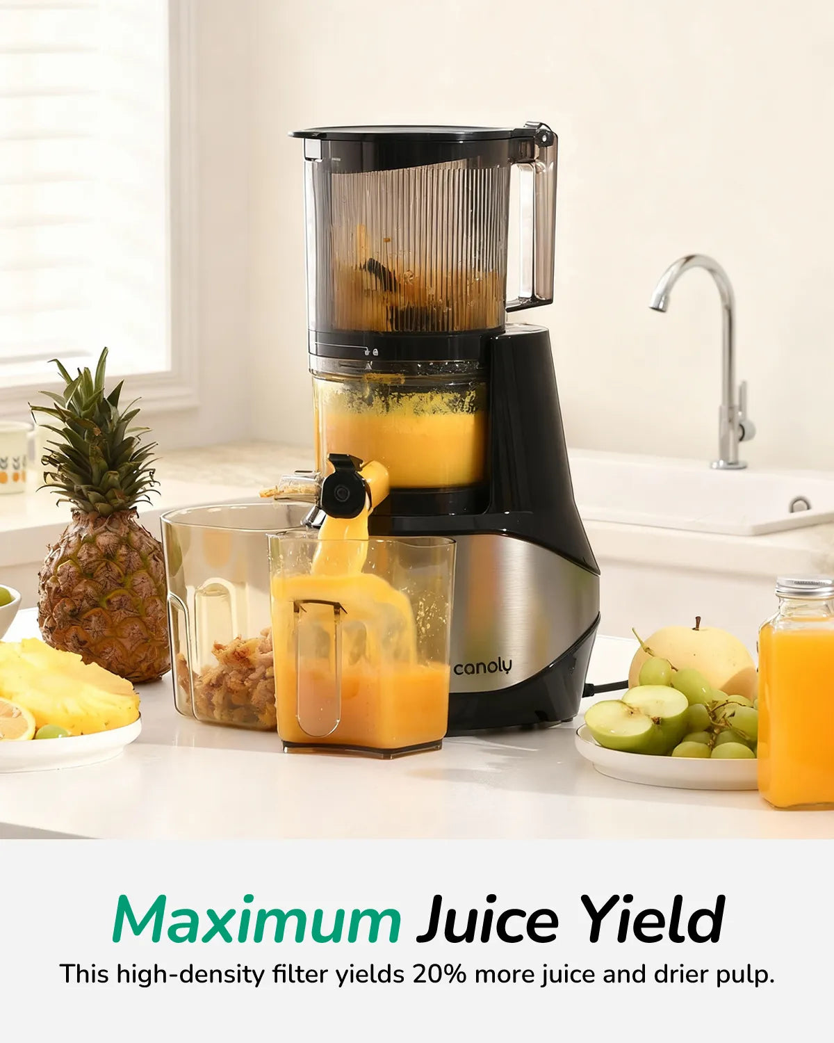 Canoly C09 cold press power juicer, stainless steel