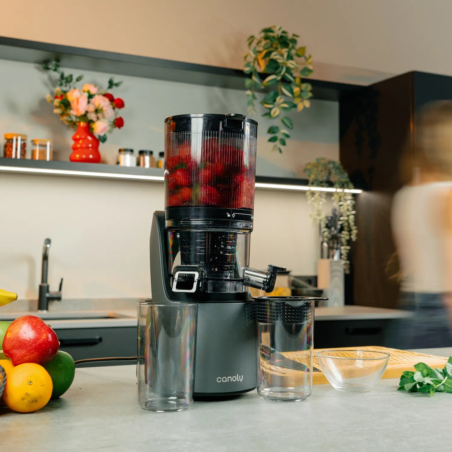 C16 Cold Press Juicer - Canoly