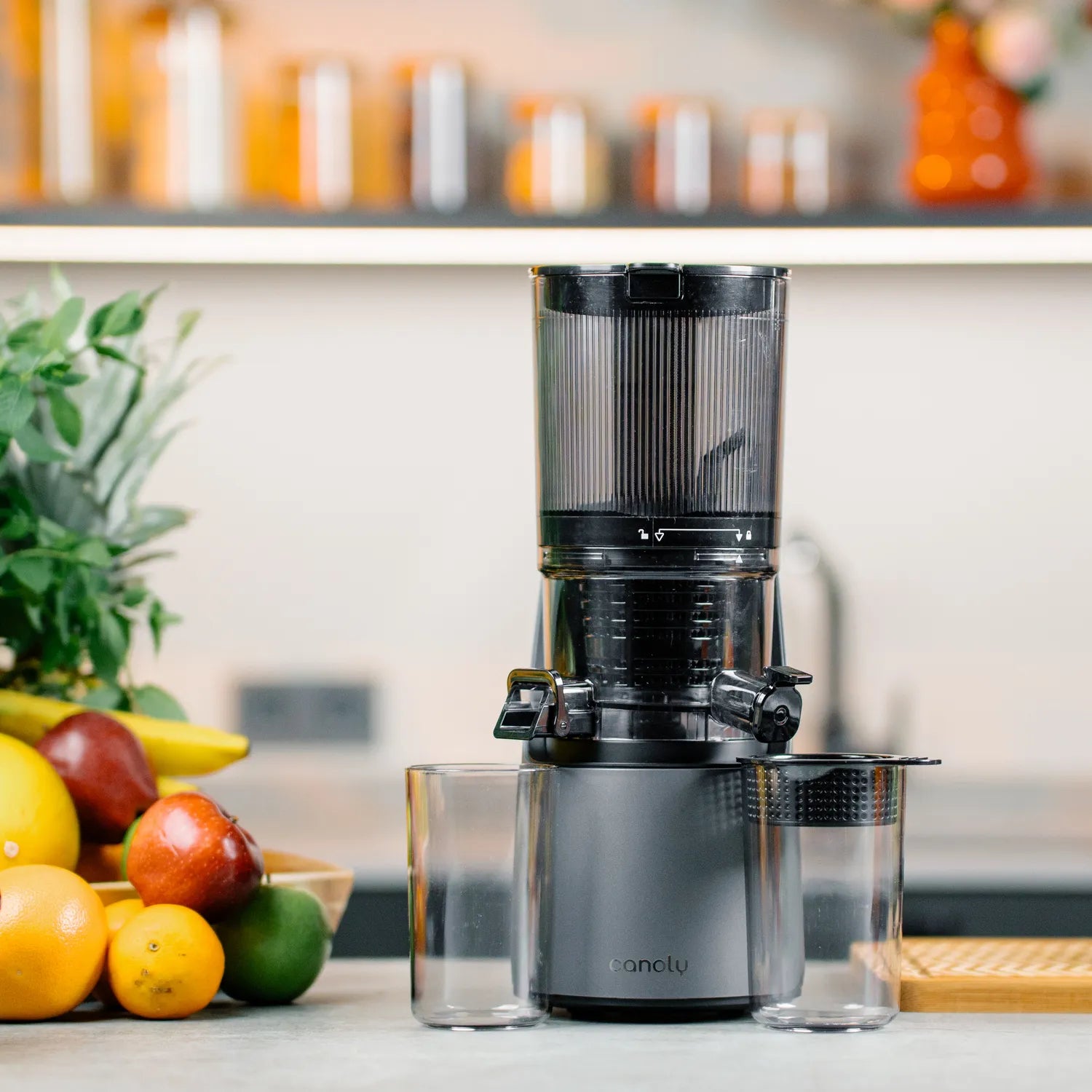 C16 Cold Press Juicer - Canoly