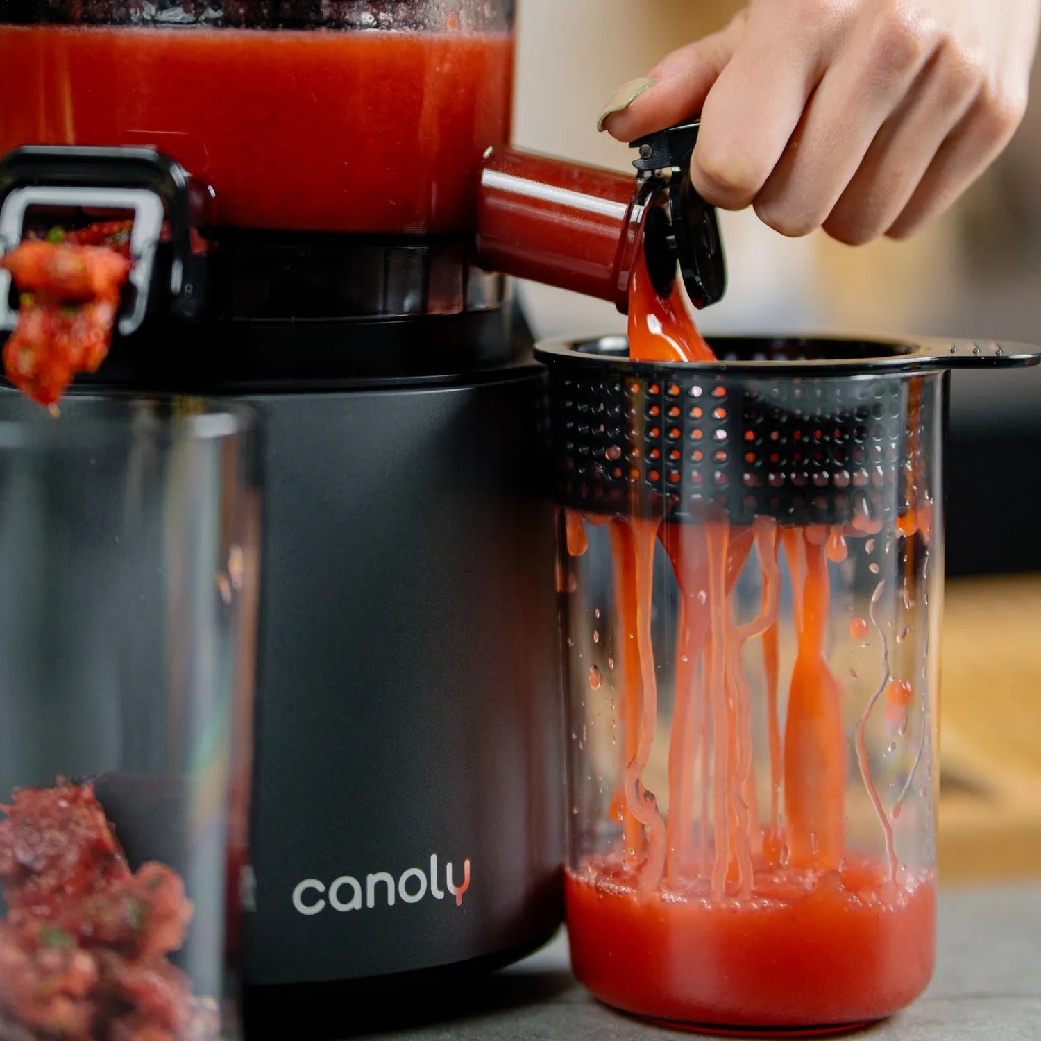 C16 Cold Press Juicer - Canoly
