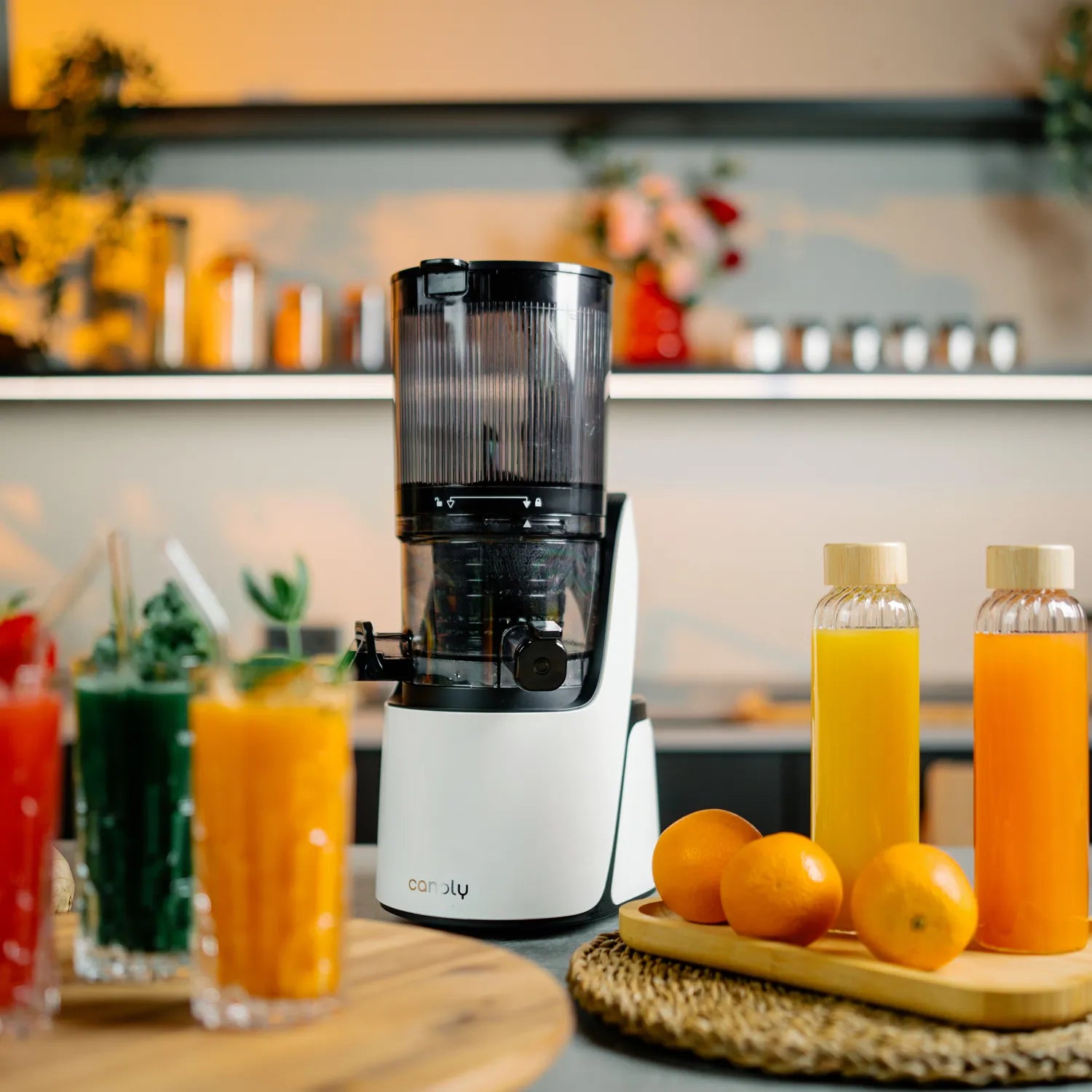 C16 Cold Press Juicer