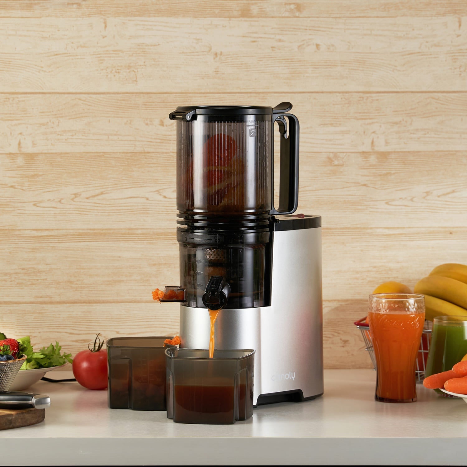 JE - 75 Cold Press Juicer Machines - Canoly - Juicer