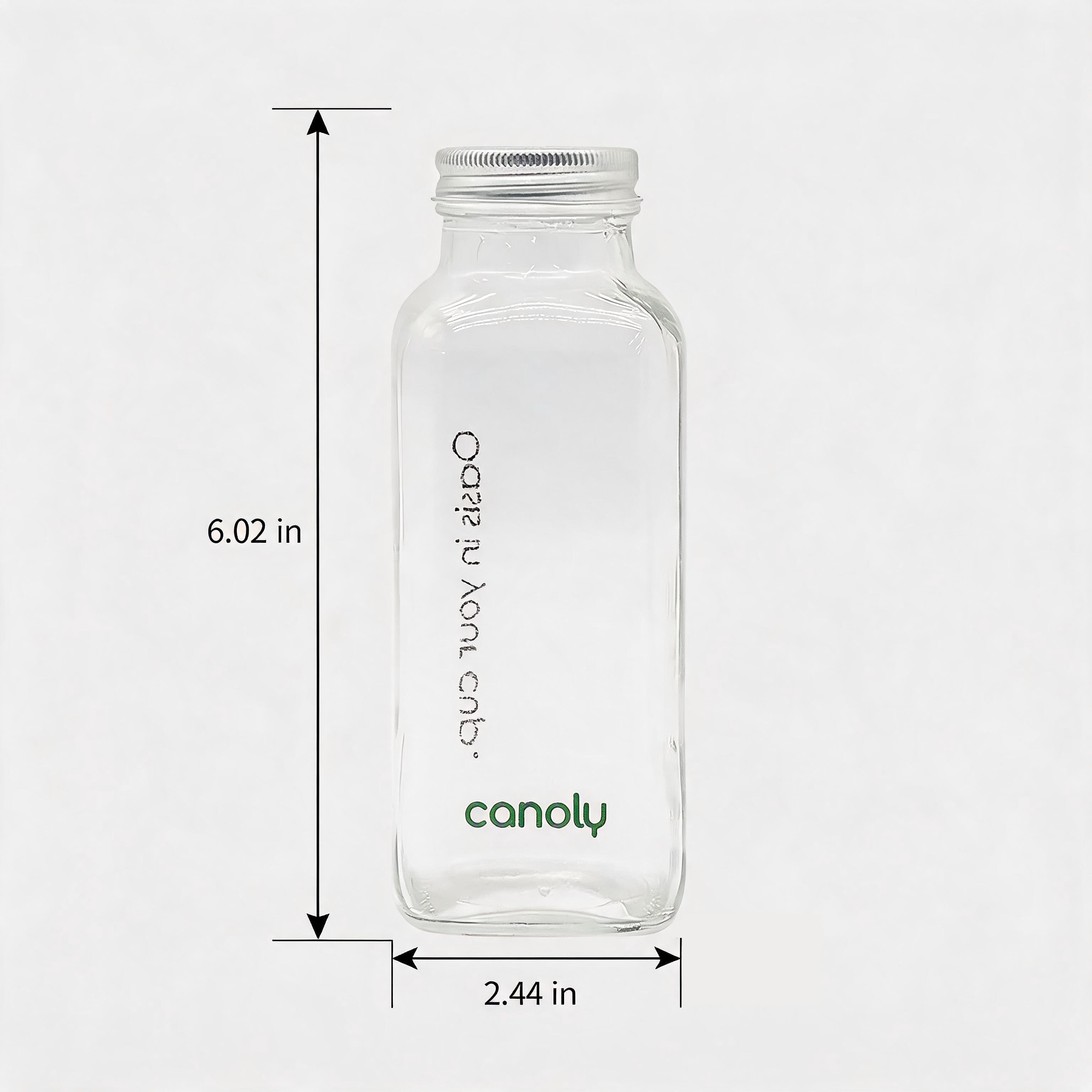 Lot de bouteilles en verre (6 pièces)