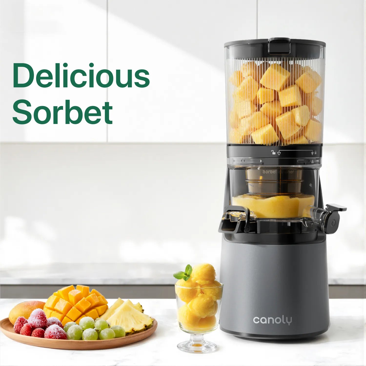 C16 Cold Press Juicer - Canoly