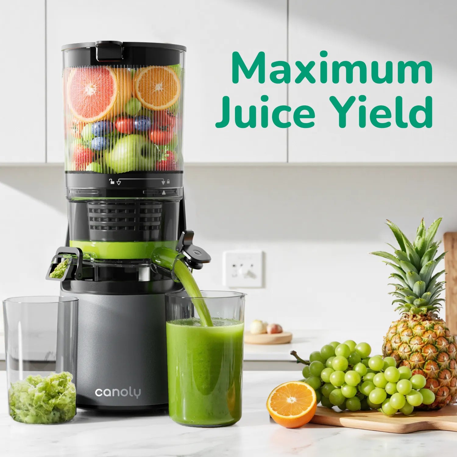 C16 Cold Press Juicer
