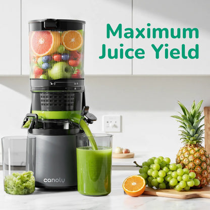 C16 Cold Press Juicer