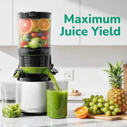 C16 Cold Press Juicer