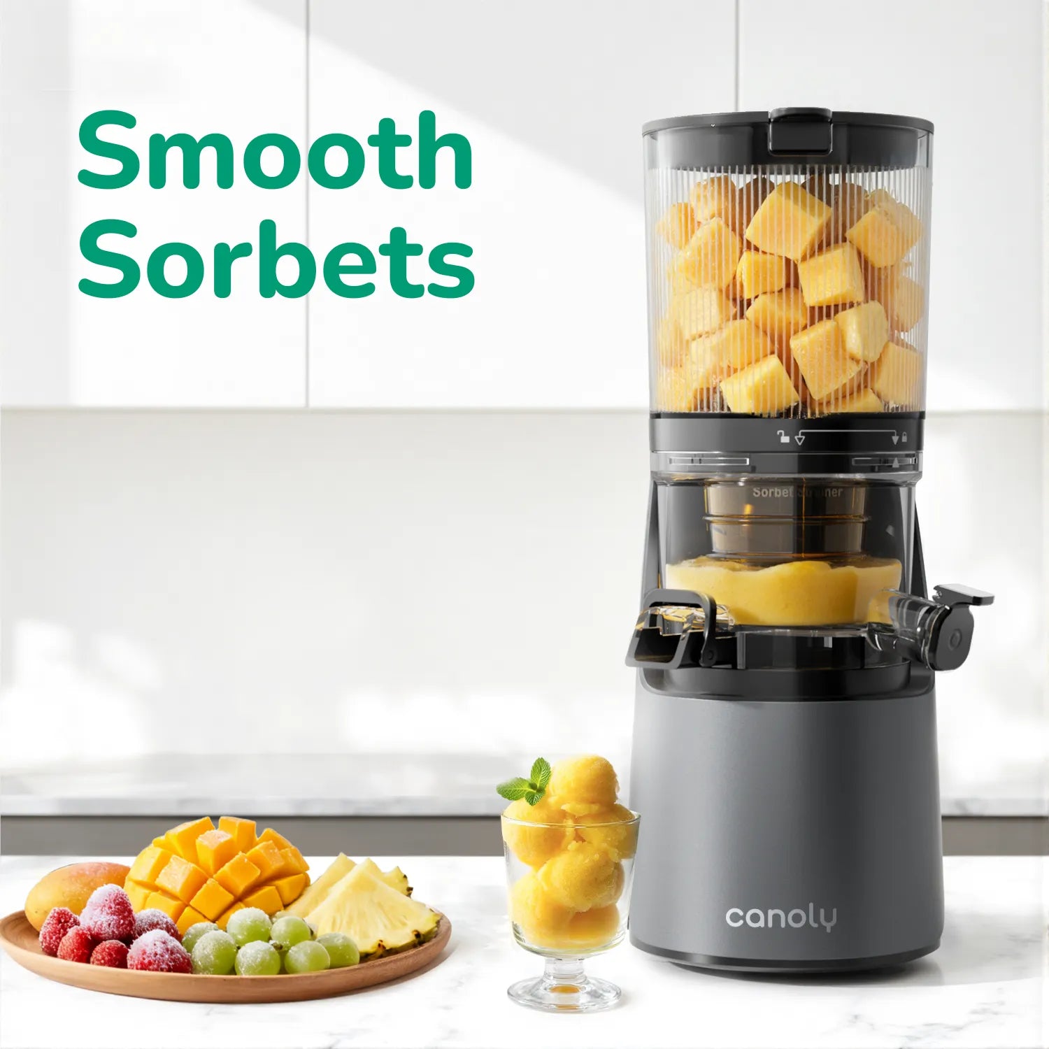C16 Cold Press Juicer