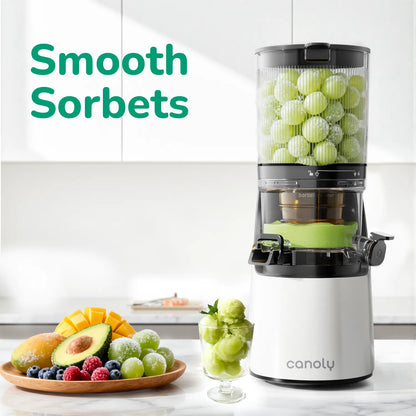 C16 Cold Press Juicer