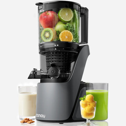 C16 Cold Press Juicer