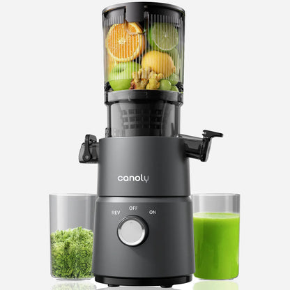 Buy Canoly C03 small masticating juicer for fruits and leafy greens