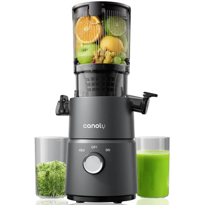 C03 Cold Press Juicer