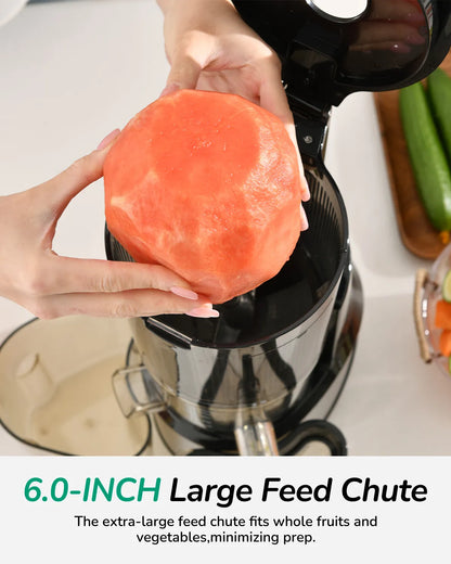 Canoly C09 large cold press juicer machine for whole family, stainless steel