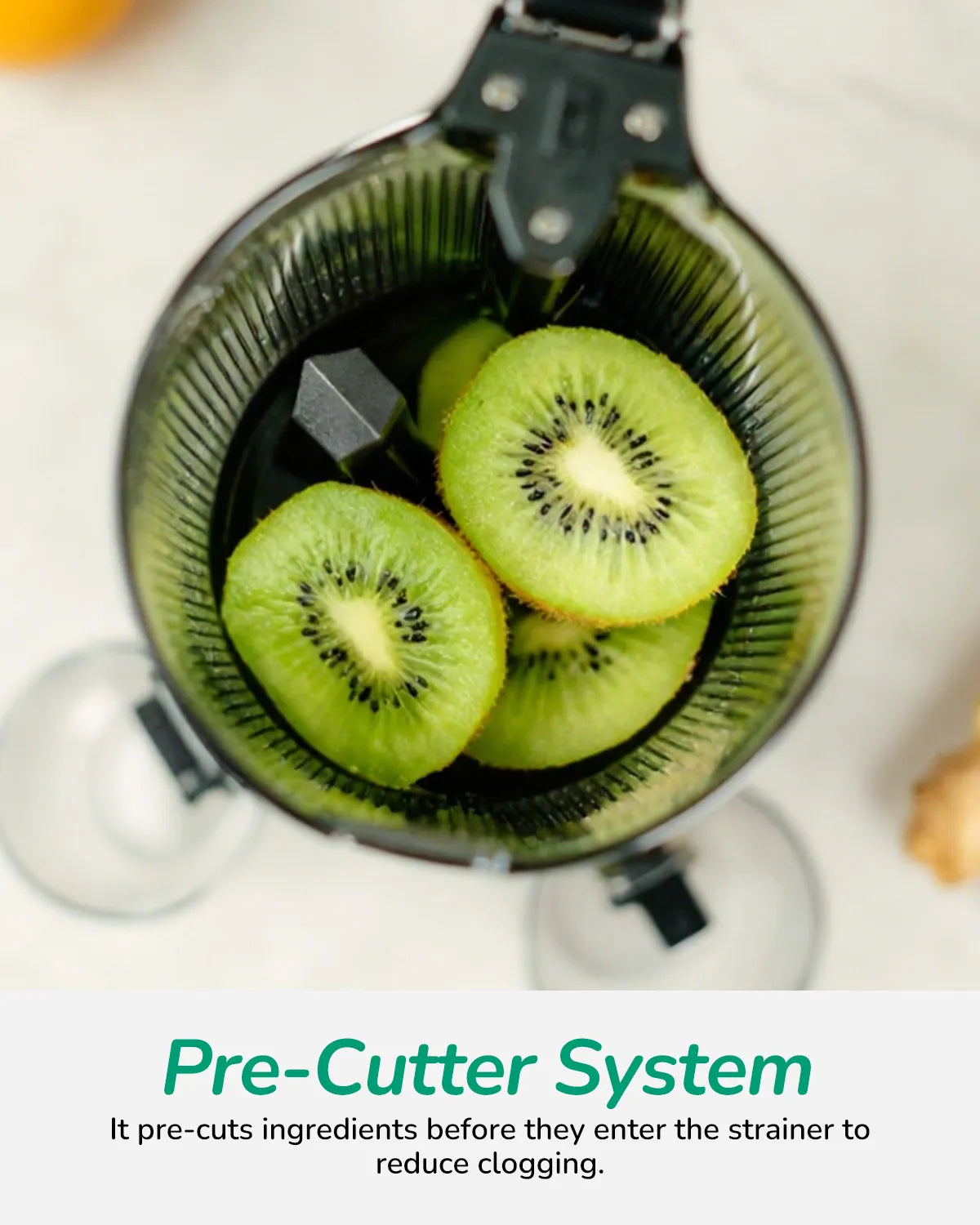 Canoly C09 cold press juicer for home, best masticating juicer machine to buy, stainless steel