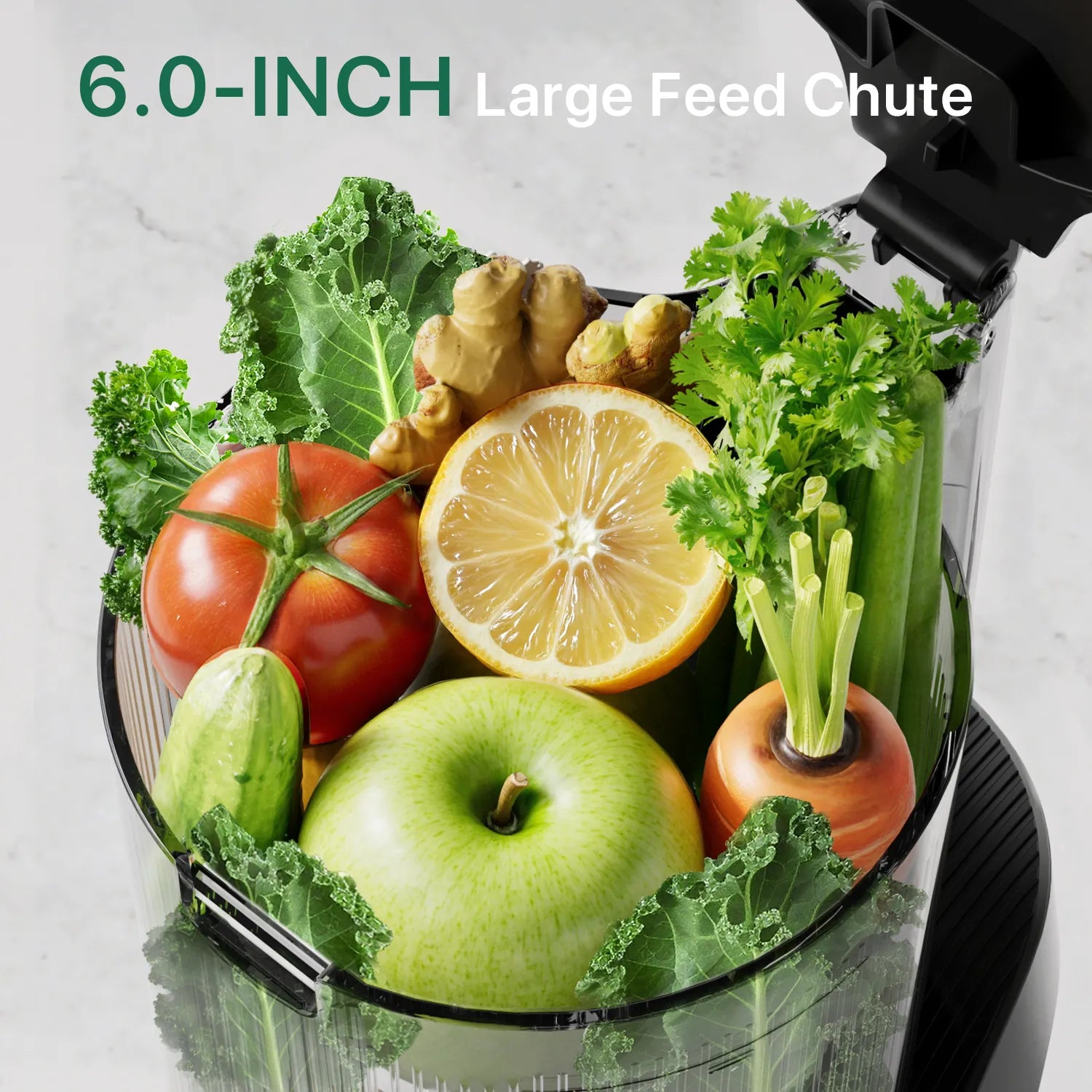 Canoly C16 large cold press juicer machine for whole family, grey