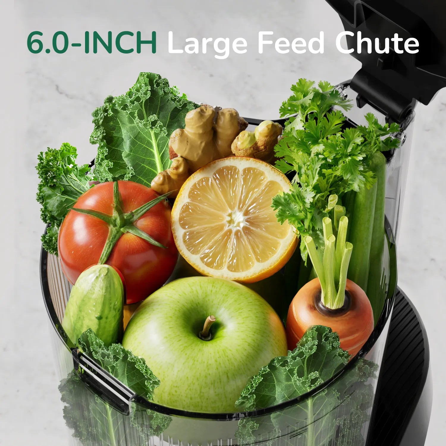 C16 3-in-1 Multi-Function Juicer - Canoly