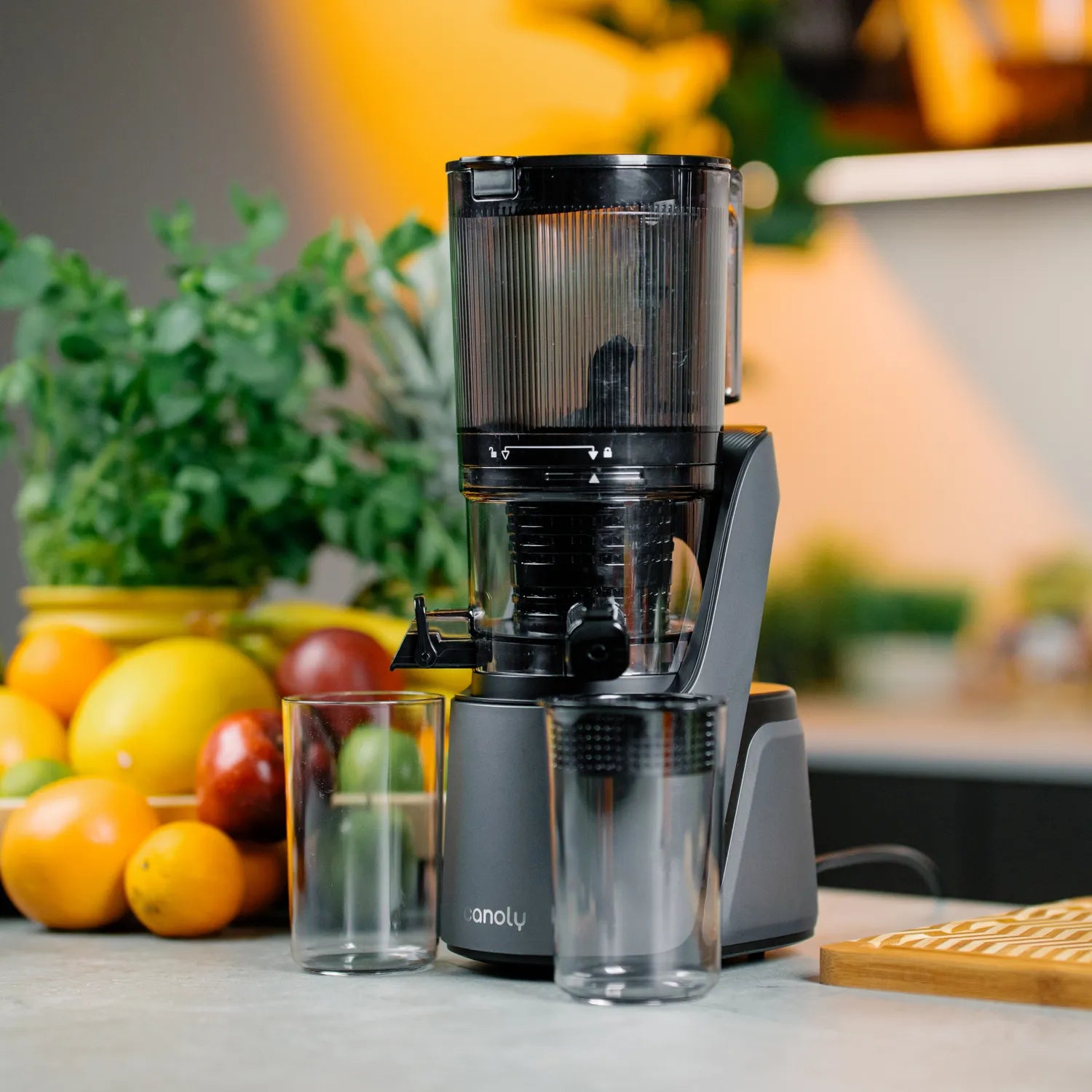 C16 Cold Press Juicer - Canoly