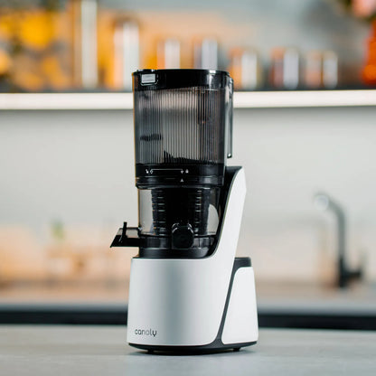 C16 Cold Press Juicer