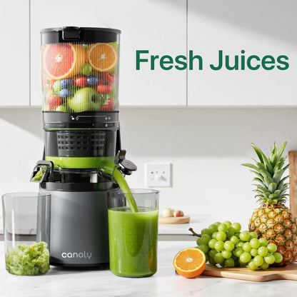 C16 Cold Press Juicer