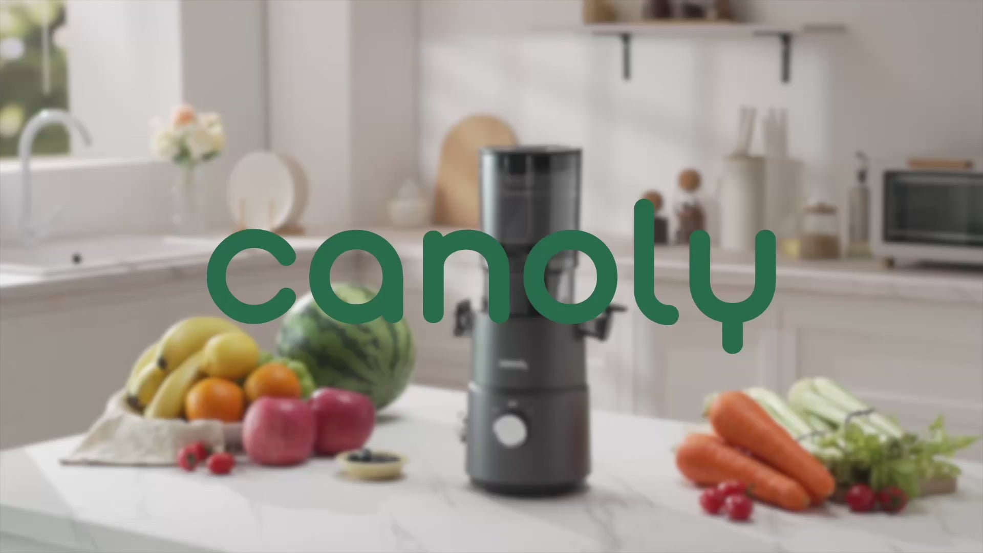 Canoly C03 Cold Press Juicer - Compact but Powerful 2-in-1 Slow Juicer