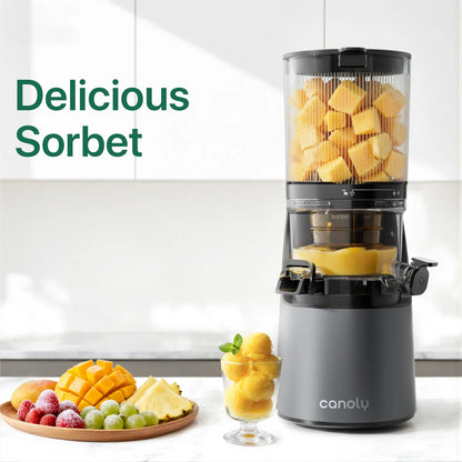 C16 Cold Press Juicer